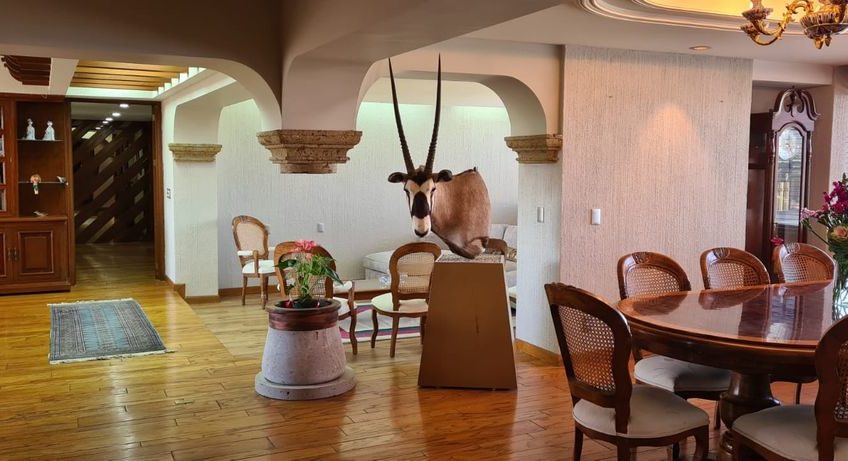 DEPARTAMENTO DE LUJO EN COLOMOS PROVIDENCIA
