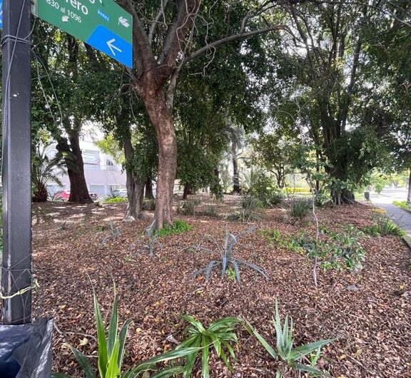 RENTA DE LOCAL PLANTA ALTA EN EL CRUCE DE AV. TEPEYAC Y AV. NIÑO OBRERO