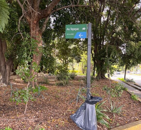 RENTA DE LOCAL PLANTA ALTA EN EL CRUCE DE AV. TEPEYAC Y AV. NIÑO OBRERO